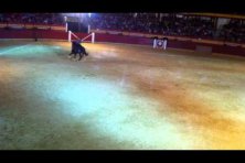 Espectáculo Ecuestre “Arte, pasión y tradición”  