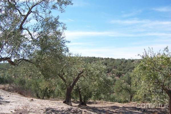 El Manfarral