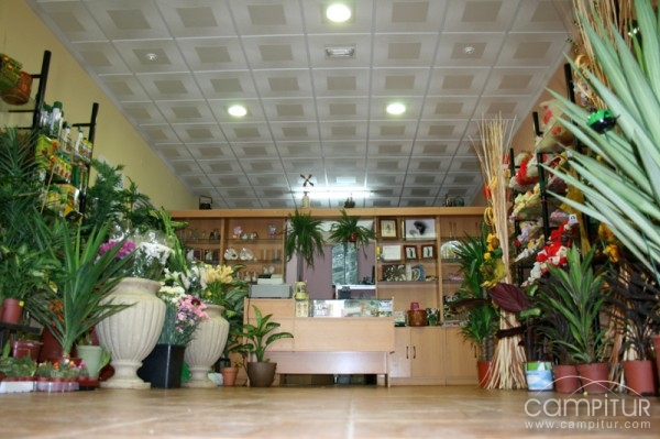 Floristería Inma