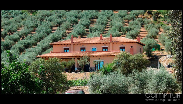 Casa Rural La Huerta de los Nogales 