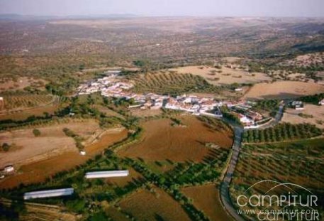 Feria en honor de Ntra. Sra. De la Paz en La Cardenchosa 