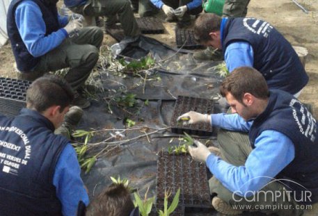 PFP Dual @prendizext “Jardines y zonas verdes” en Villagarcía de la Torre y Usagre 