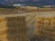 Ganaderos cordobeses se vuelcan con el norte de Extremadura tras los incendios